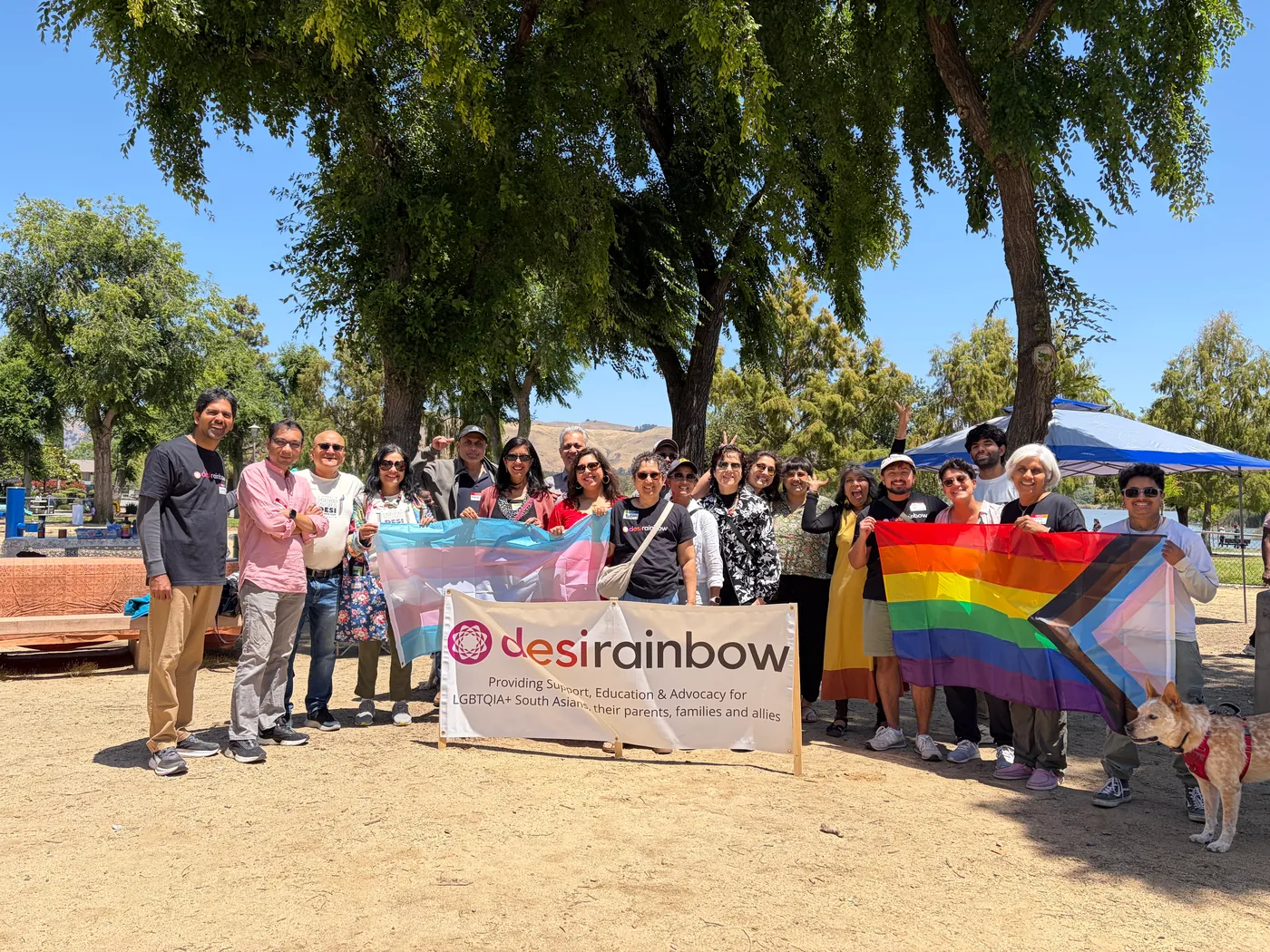 About twenty Desi Rainbow members and a dog under big shade trees in a park, holding the Desi Rainbow banner with transgender and Progress Pride flags.