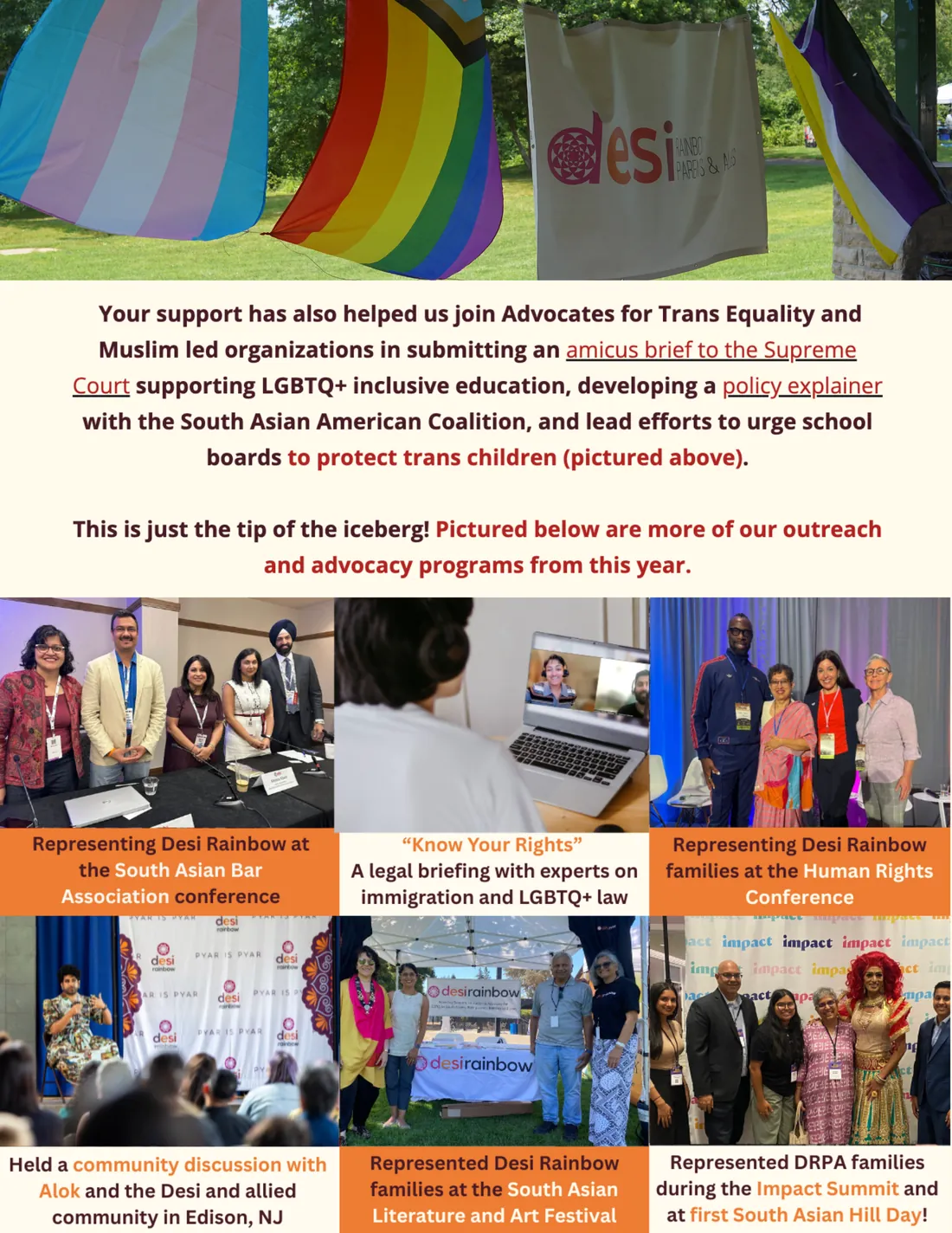 Page 4: more outreach and advocacy. Pride and Desi Rainbow flags in a park, and six captioned photos of conferences, a legal briefing and community events.